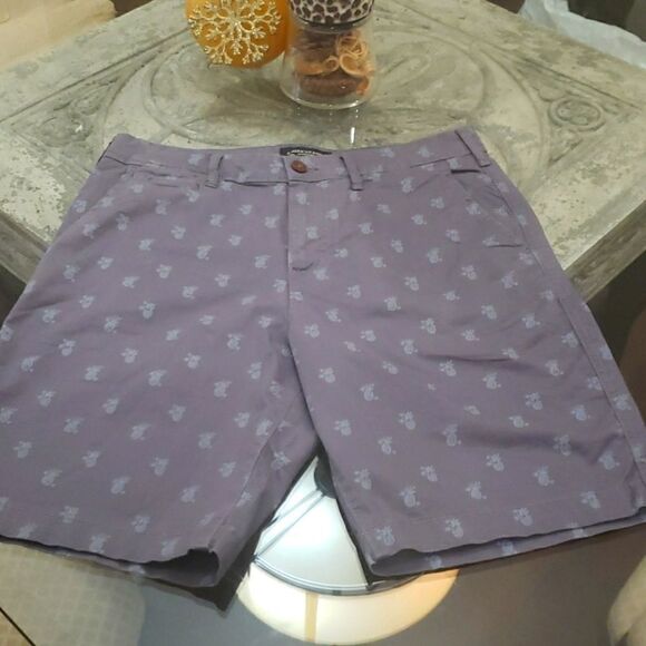 AMERICAN EAGLE OUTFITERS SHORTS - Picture 1 of 5